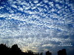 IMG_0120-a