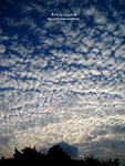 IMG_0137-a