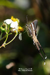 DSC_0479-fotop