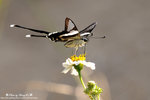 DSC_1969-blog