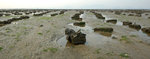 DSC_2364-a