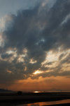 DSC_2401-a