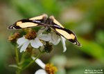 DSC_1275-blog