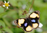DSC_1324-blog