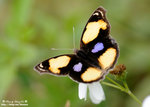 DSC_1330-blog