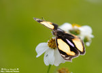 DSC_1349-blog