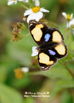 DSC_1360-blog