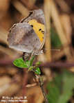DSC_1530-blog