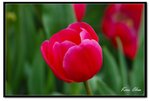 nEO_IMG_DSC_2696