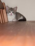 DSCF4881
