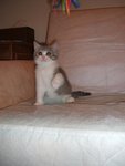 DSCF4892