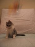 DSCF4893