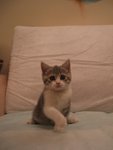 DSCF4895