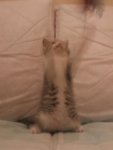 DSCF4896