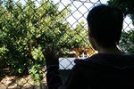 IMG 030