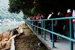 IMG 061