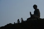 IMG_6102