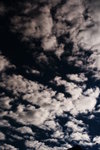 IMG_4255