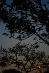IMG_5630