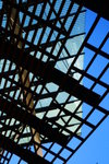 IMG_4459