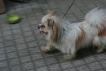 1/60s f/5.6 ISO100