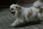 1/60s f/5.6 ISO100