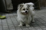 1/50s f/5.6 ISO100