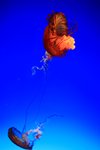 IMG_014
