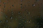IMG_3324