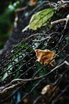 IMG_068