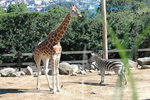 DSC_3477_resize