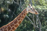 DSC_3483_resize