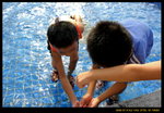 Z1