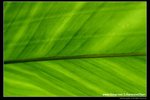 �s��oct07013
