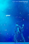 IMG_83351129100990a