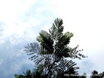 IMG_3686