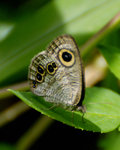 _DSC00761