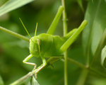 _DSC0079