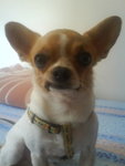 DSC00160