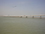 DSCN0387