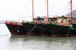 194_9484