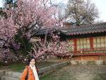 DSCF0155