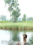 20070819_076