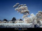 �^��p�L IR (11) V2 fotop