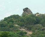 �����νޥ�
P1100343B