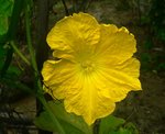 IMG_3243B