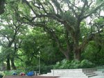 IMG_3248B
