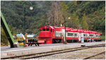 RH281366