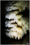 RicoGallery9566