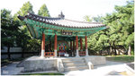 RicoGallery9569